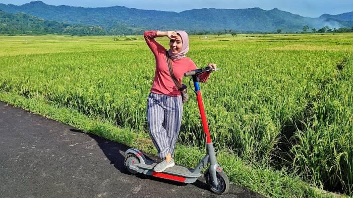 Berjalan di Sawah