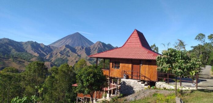 Homestay yang Menakjubkan di Pulau Flores