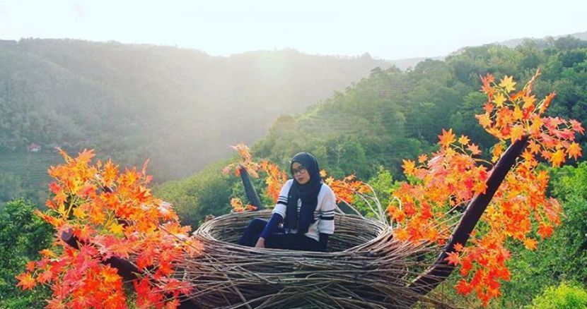 Sarang Burung di Bukit Mojo Gumelem