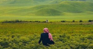 Savana dan Bukit Teletubbies di Gunung Bromo