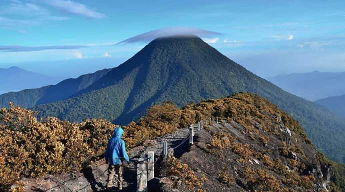 Taman Nasional Gunung Gede - Pangrango