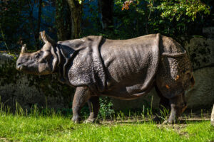 Taman Nasional Ujung Kulon