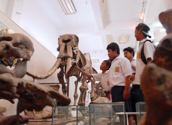 Menjelajahi Museum Geologi Bandung Yang Ternama