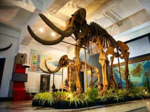 Museum Geologi Bandung