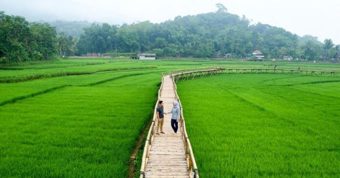 Wisata Persawahan Songgo Langit